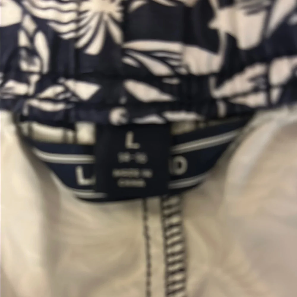 Lands' End boys size large 14-16 Blue and White swim trunks